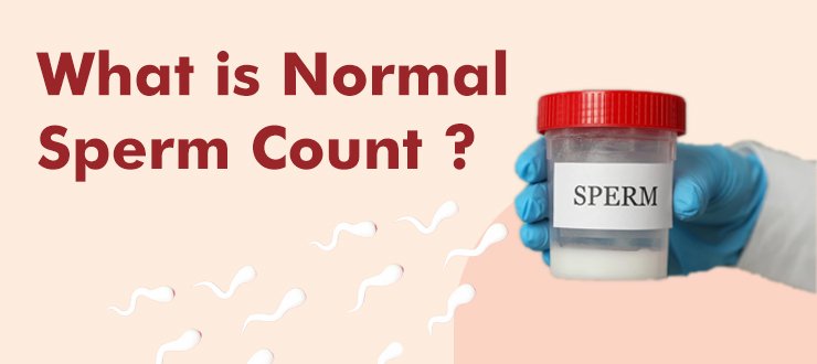 What is Normal Sperm Count ?