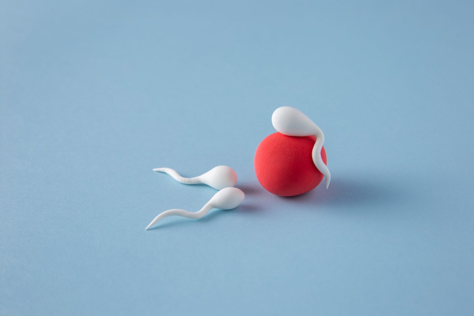 Leukocytospermia: Causes, Diagnosis, and Treatment